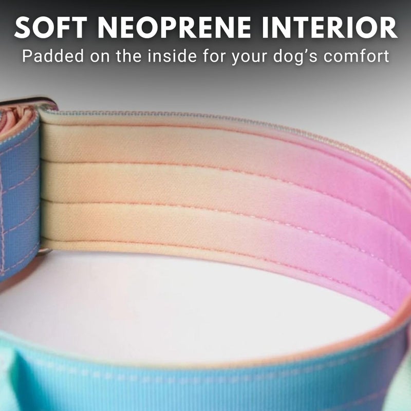 Spark Paws Tactical Dog Collar with Handle - Premium Quality Collar, Robust and Durable Design for Large, Strong Breeds - Pitbulls, Labradors, GSD - Pastel Icing - M - Image 4