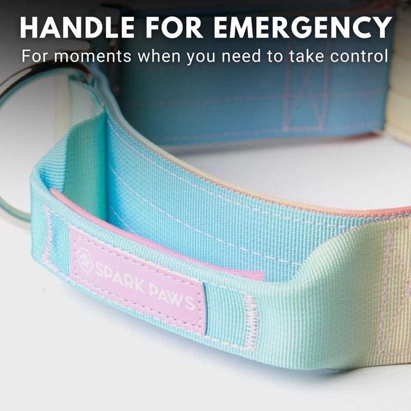 Spark Paws Tactical Dog Collar with Handle - Premium Quality Collar, Robust and Durable Design for Large, Strong Breeds - Pitbulls, Labradors, GSD - Pastel Icing - M - Image 5
