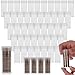 BCW Quarter Coin Storage Tubes 50 Pack Archival Quality Plastic Coin Holders ScrewOn Caps LongTerm Coin Storage - Image 3