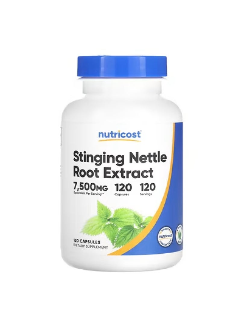 مستخلص جذر نبات القراص، 7500 ملغ، 120 كبسولة