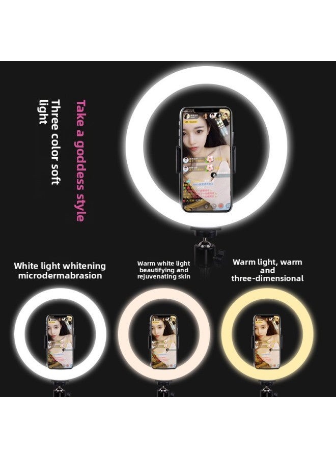 general Mobile Phone Live Photography Bracket Desktop Portable Photography Three-color Warm Large Aperture Lighting 22 Inch Beauty Ring Light-Specifications:【fill Light】 14inch (wired Control Model) - Image 3