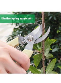 Pruning Shears with Steel Bending Handle,Garden Scissors, Comfortable for Bonsai and Plants. - pzsku/Z84B41C5CA66E92BB796BZ/45/_/1733189843/4c9ac84d-d38c-4994-968f-664a3780382c