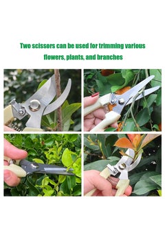 Pruning Shears with Steel Bending Handle,Garden Scissors, Comfortable for Bonsai and Plants. - pzsku/Z84B41C5CA66E92BB796BZ/45/_/1733189853/0edffc4f-2b14-444e-bee8-880d445fedd1