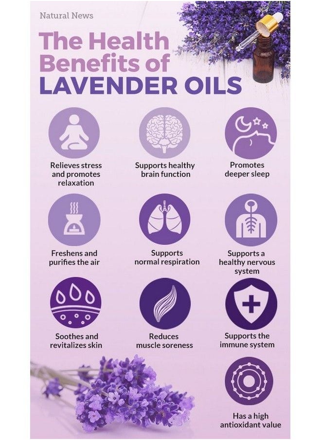 AROMATIQUE - Lavender Essential Oil For Skin Care And Hair Growth 100% Pure And Natural Therapeutic Grade 15Ml - Image 1