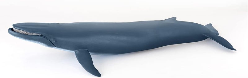 Papo  Blue Whale  Figurine Marine Animals  3 Years Old  Cetaceans and Marine Mammals  Hand Painted  Durable Educational Toy  385 x 17 x 75 cm  Childrens Toy  Gift Idea  Blue Whale Toy - Image 1