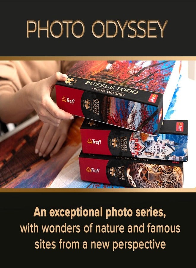 تريفل قلعة تريفيل نويشفانشتاين، ألمانيا. أحجية الصور المقطوعة (بازل) 1000 قطعة، إصدار فاخر من سلسلة "فوتو أوديسي" (27 × 19 بوصة). سلسلة صور فوتوغرافية فريدة، تطابق مثالي للعناصر، مناسبة للبالغين والأطفال من سن 14 عامًا فما فوق. - Image 4