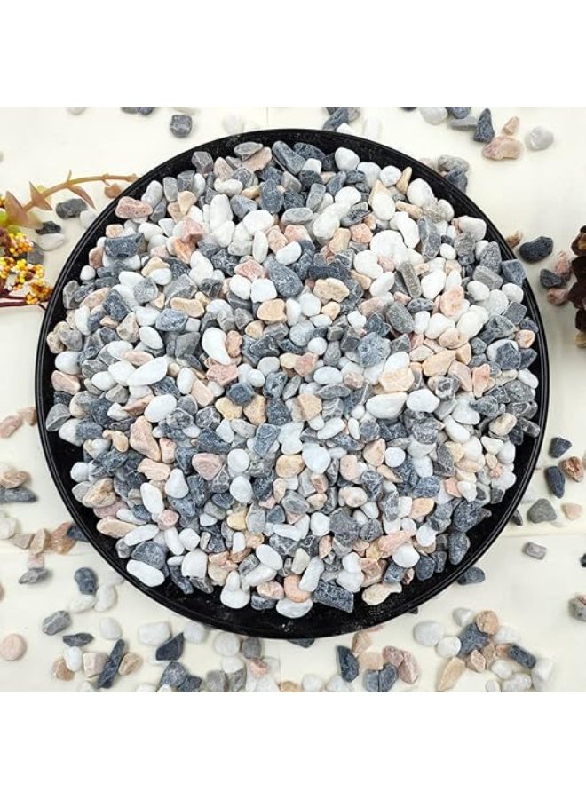 2LB Succulent and Cactus Gravel Pebbles, 1/5 Inch Natural Decorative Polished Stones, River Rocks for Vases, Aquariums, Terrarium and Outdoor Gardening, Mixed Color - Image 1