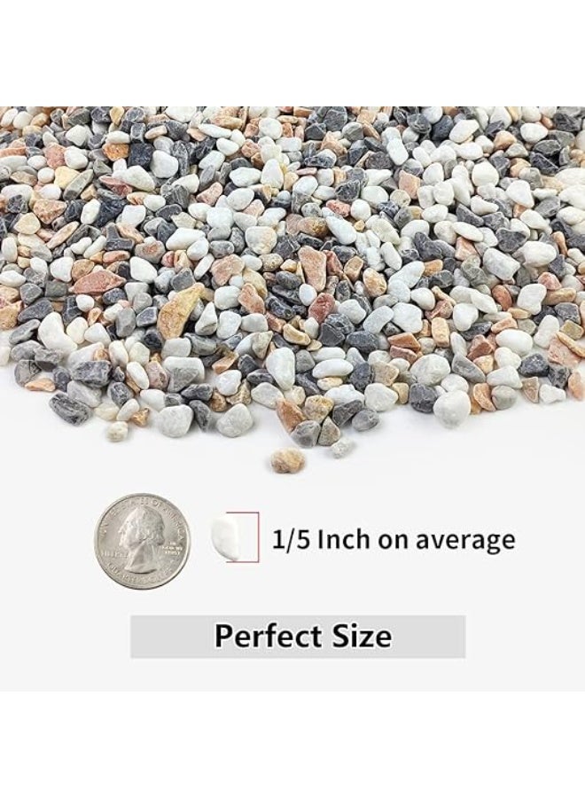 2LB Succulent and Cactus Gravel Pebbles, 1/5 Inch Natural Decorative Polished Stones, River Rocks for Vases, Aquariums, Terrarium and Outdoor Gardening, Mixed Color - Image 3