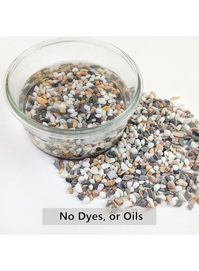 2LB Succulent and Cactus Gravel Pebbles, 1/5 Inch Natural Decorative Polished Stones, River Rocks for Vases, Aquariums, Terrarium and Outdoor Gardening, Mixed Color - Image 5