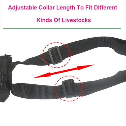 FETACA® Waterproof Livestock GPS Tracker for Cattle, Horses, Sheep & Camels, Real-Time Anti-Lost Location Tracking, Geo-Fence, Long Battery 6000 mAh with Free 12 Month 4G Data SIM and App Subscription - Image 5
