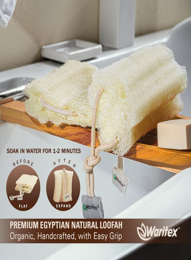 Waritex Premium Natural Egyptian Loofah Sponges, Made from 100% Natural Organic Material, Gentle Skin Exfoliation, and Full-Body Spa Experience – Eco-Friendly Loofah 3 Count (1 Pack) - Image 3