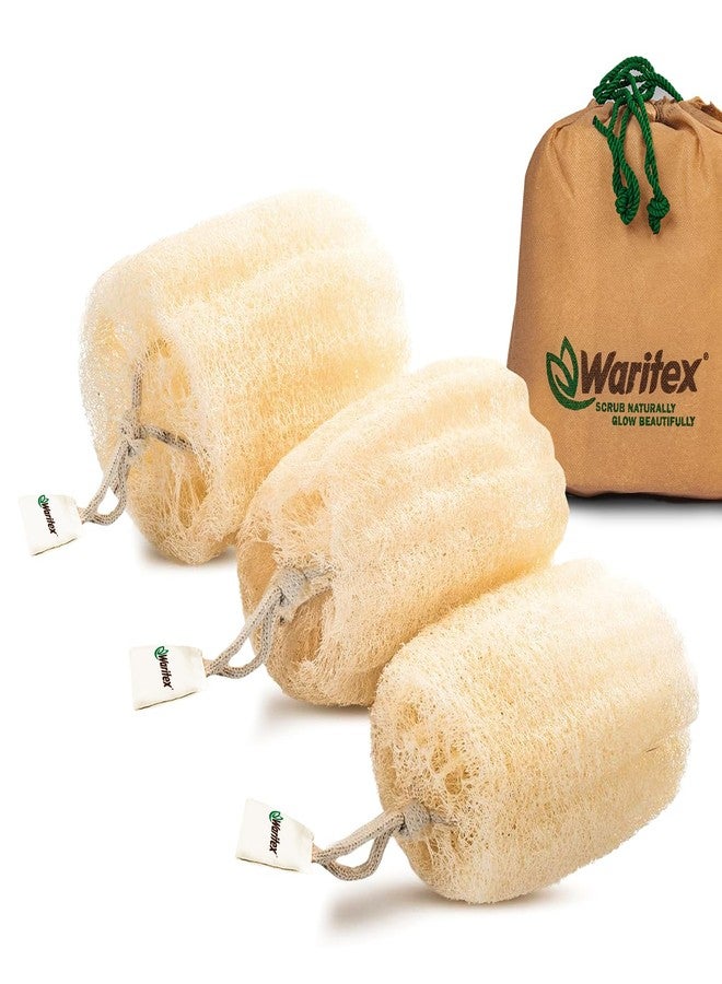 Waritex Premium Natural Egyptian Loofah Sponges, Made from 100% Natural Organic Material, Gentle Skin Exfoliation, and Full-Body Spa Experience – Eco-Friendly Loofah 3 Count (1 Pack) - Image 1