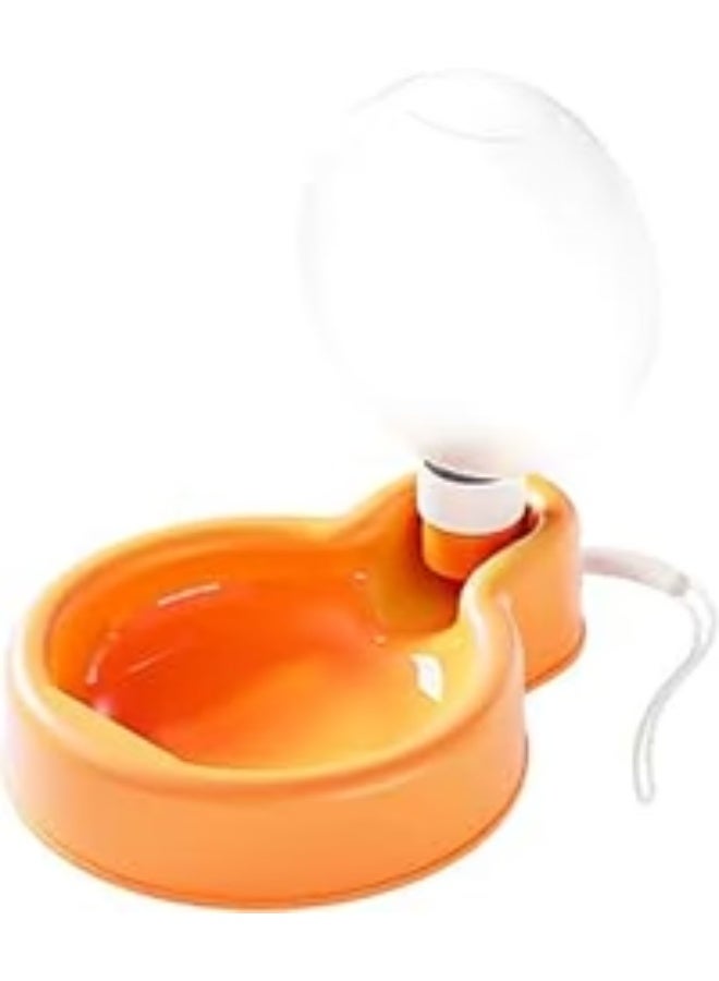 Water Dispenser Bottle Balloon & bowl