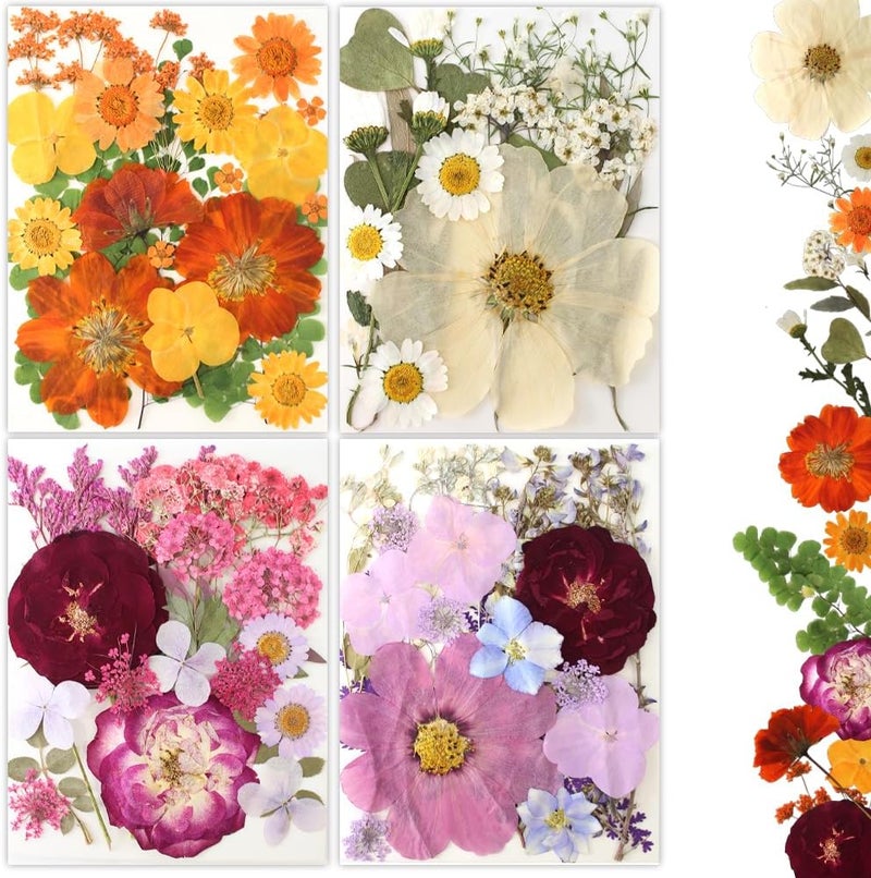 Buzidao 80Pcs Pressed Flowers, Dried Flowers Natural Pressed Flowers Bulk for Resin Molds, Nail Art, Scrapbooking, Candle Holder, Jewelry Making, Real Dried Pressed Flowers DIY Crafts Supplies Kit - Image 1