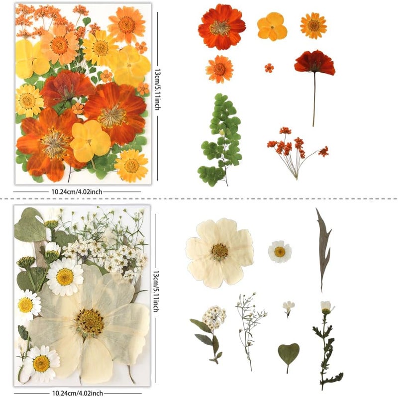 Buzidao 80Pcs Pressed Flowers, Dried Flowers Natural Pressed Flowers Bulk for Resin Molds, Nail Art, Scrapbooking, Candle Holder, Jewelry Making, Real Dried Pressed Flowers DIY Crafts Supplies Kit - Image 2