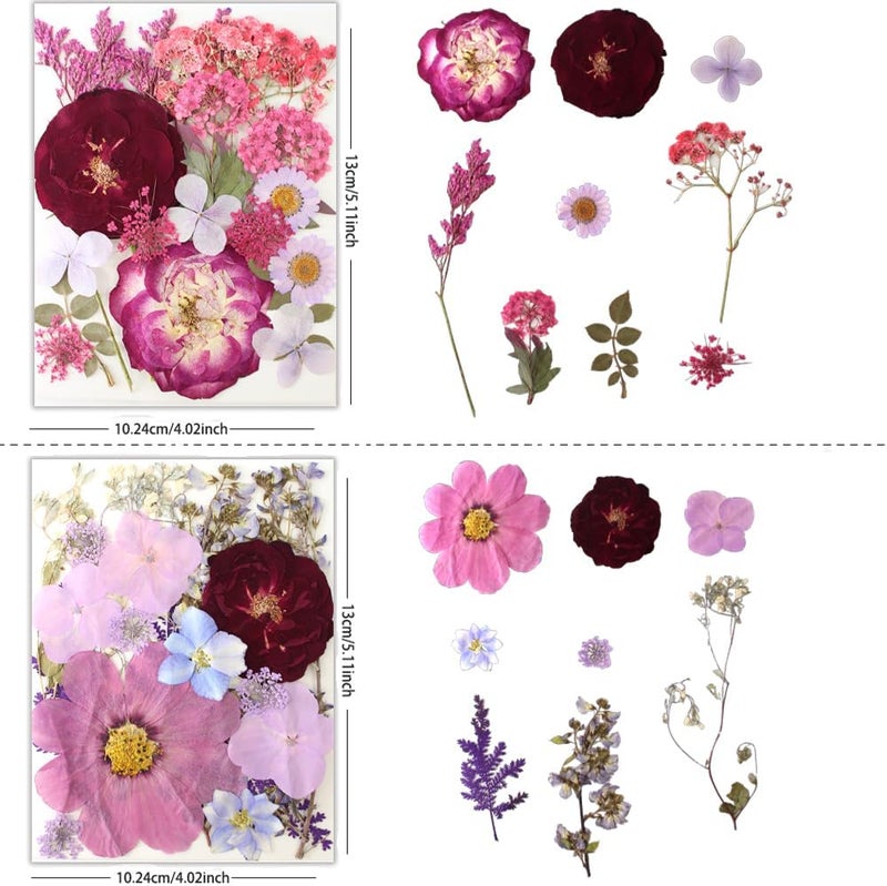 Buzidao 80Pcs Pressed Flowers, Dried Flowers Natural Pressed Flowers Bulk for Resin Molds, Nail Art, Scrapbooking, Candle Holder, Jewelry Making, Real Dried Pressed Flowers DIY Crafts Supplies Kit - Image 3