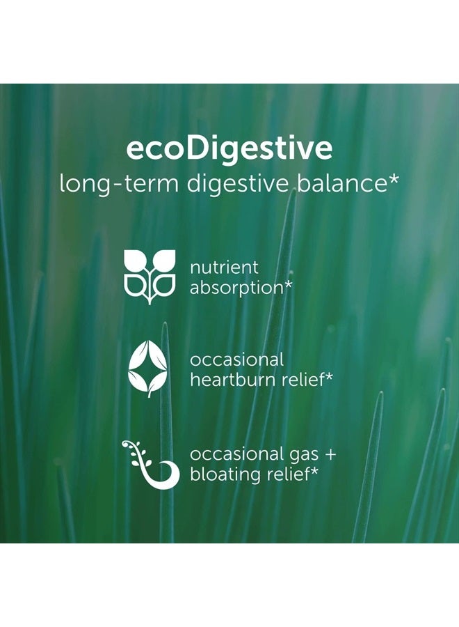 EcoNugenics EcoDigest Digestive Health Supplement - 60 Capsules- Digestive Support - Herbs, Medicinal Mushrooms & Enzymes - Image 2