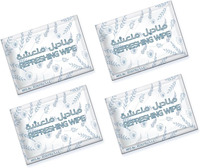 Ecolyte+ Antibacterial Wet Wipes - 100 Pack - Image 1