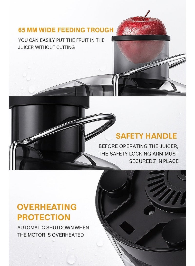 آر إيه أف عصارة راف، قابس ثلاثي الأطراف، قوة ١٠٠٠ واط | عصارة من الفولاذ المقاوم للصدأ سعة ٤٥٠ مل، بفتحة تغذية بعرض ٦.٥ سم | منخفضة الضوضاء، سهلة التنظيف، تحكم مزدوج السرعة | عصارة فواكه وخضراوات كهربائية، لون فضي (R.2817S) - Image 2