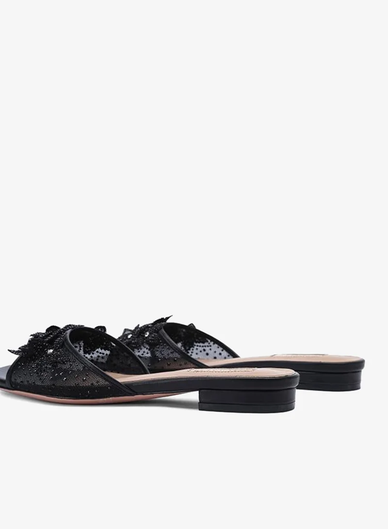 Nicoli  RIVKA for Women | Best Price UAE