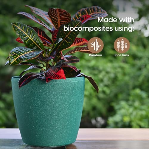 Eha Set of 4 Earth-Friendly Deco 9" Self-Watering pots and Planters | Bamboo Based | UV Protected | for Indoor, Home Decor, Outdoor, Balcony & Garden | SCastle-Fern - Image 3