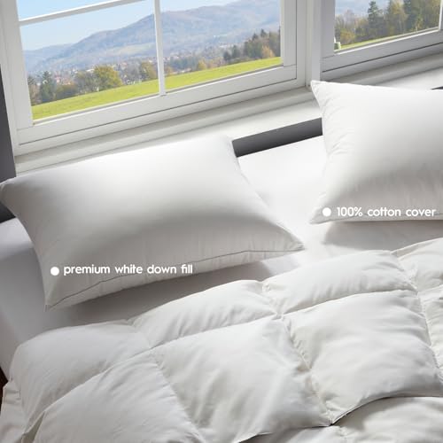 Globon Ultra Soft Down Pillow Standard Size Set of 2, Premium Down Filled Bed Pillow for Sleeping, 100% Cotton Shell 500 Thread Count 700 Fill Power, Hotel Collection Down Feather Pillow 20" x 26" - Image 3