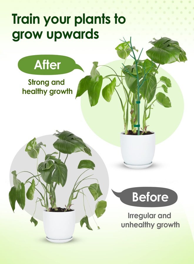 ان اي هوم مجموعة NiHome الشاملة لدعم النباتات، 6 قطع - أوتاد متينة ومقاومة للأشعة فوق البنفسجية بطول 39.5 بوصة مع أعمدة تمديد، ومشابك للأوركيد، وأربطة نباتات للنباتات المتسلقة الداخلية والخارجية، والمونستيرا، والبوثوس، وغيرها - Image 3