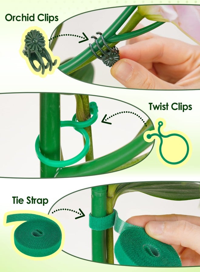 ان اي هوم مجموعة NiHome الشاملة لدعم النباتات، 6 قطع - أوتاد متينة ومقاومة للأشعة فوق البنفسجية بطول 39.5 بوصة مع أعمدة تمديد، ومشابك للأوركيد، وأربطة نباتات للنباتات المتسلقة الداخلية والخارجية، والمونستيرا، والبوثوس، وغيرها - Image 4