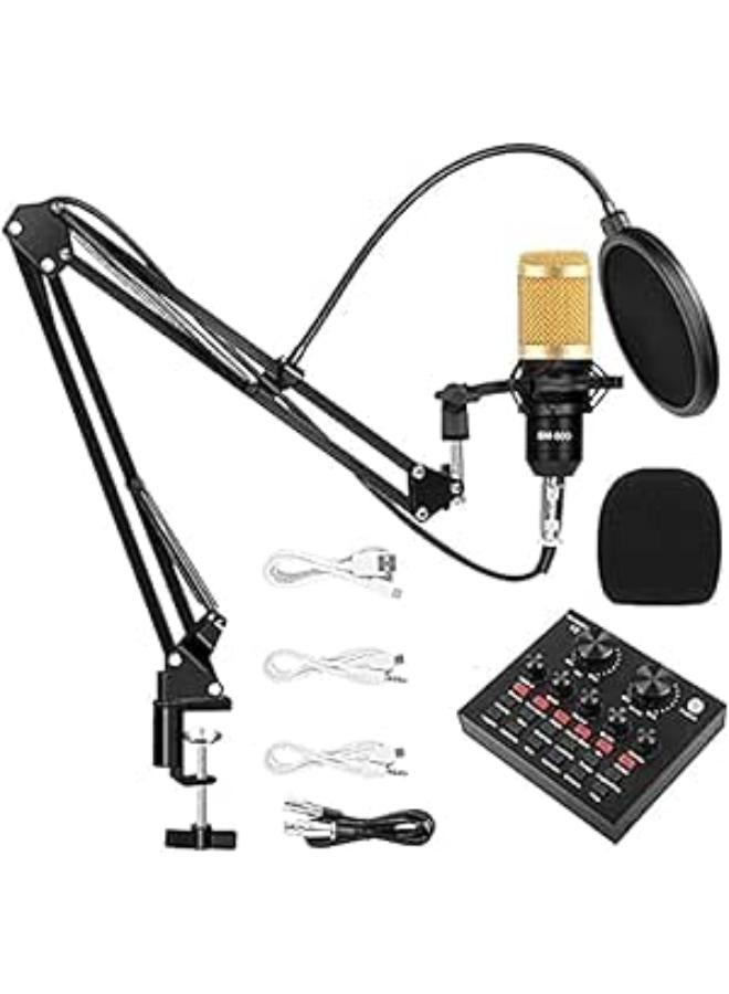 Microphone Stand and Sponge Filter for Computer, 2725611768597