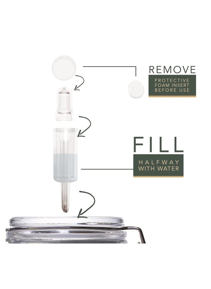 SYOSI - 6 Pieces Airlocks Homebrew Bubble Airlock for Fermentation for Home DIY Fermentation - Image 1