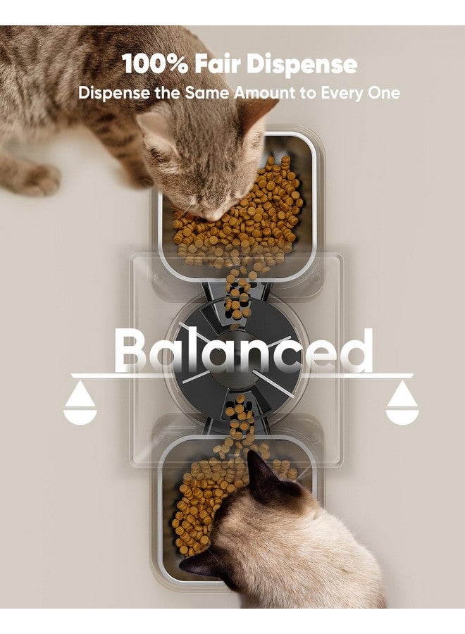 Oneisall Automatic Cat Feeder For 2 Cats, 20 Cups/5L Automatic Cat Food Dispenser For Small Pets Indoor, Timed Cat Feeder For Dry Food - Image 3