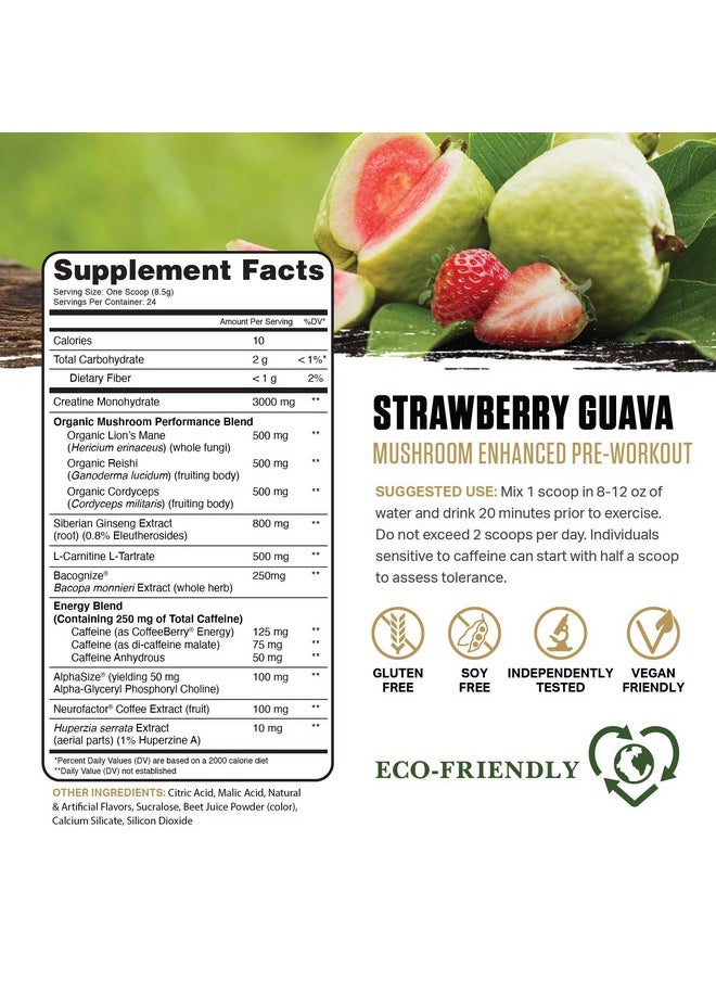 Ambrosia - Ambrosia Kinetic Organic Preworkout, Mushroom Enhanced Natural Pre Workout Supplement, Nootropic Superfood Powder for Energy (Strawberry Guava) - Image 1