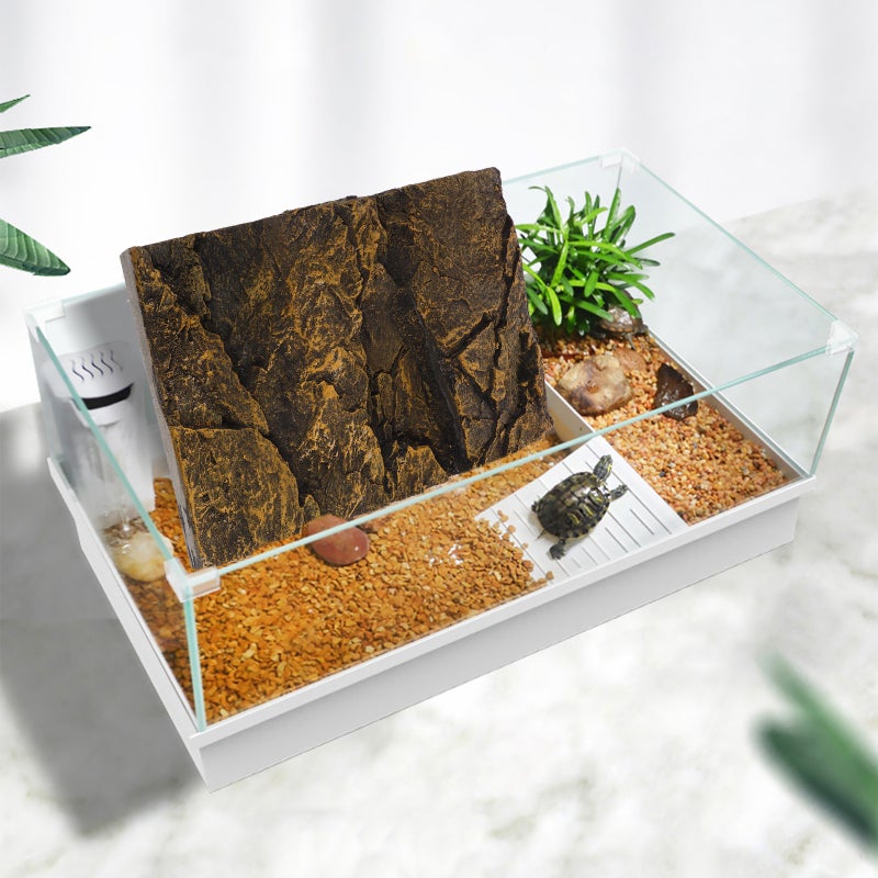 🏠 خلفية تيراريوم للزواحف لتزيين بيئة طبيعية واقعية - Image 5