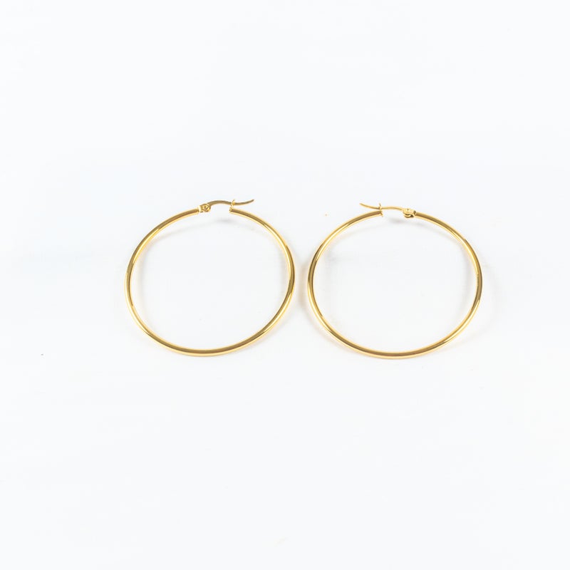 The Black Pearl Accessories Golden Rounded Stainless Steel Earring - Image 1