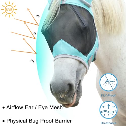 Gallopoff Horse Fly Mask with Ears Cover | Forelock Opening for Tangle-Free Mane Care | UV Protection & Breathable Mesh | No Rub Fit and Enhanced Visbility for Trail Riding Turquoise Cob - Image 3