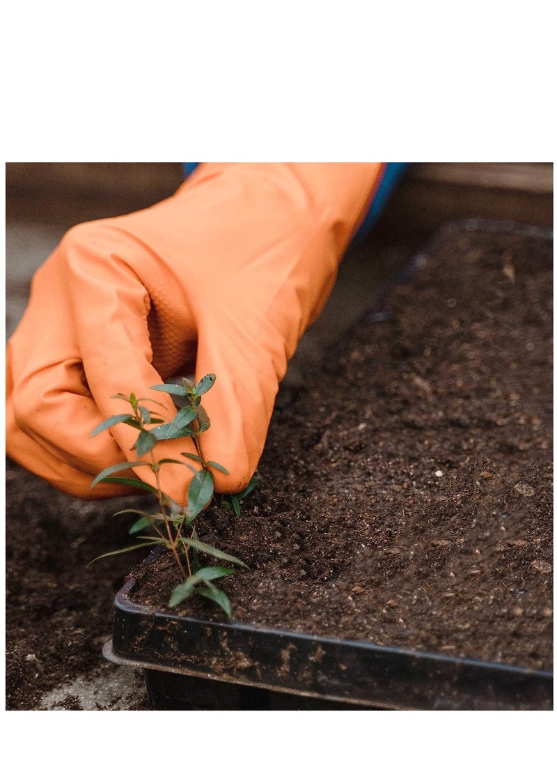 Excefore 10 Pcs 20×10 Inch Plants Growing Trays - Black Seedlings Plugs Tray No Drain Holes Hydroponic Plastic Container Seed Starter without holes for Microgreens Flowers Sprouts Wheatgrass - Image 5