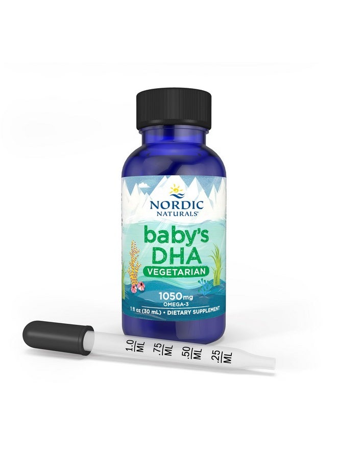 Nordic Naturals Baby's DHA Vegetarian, Unflavored - 1050 mg أوميغا 3 النباتية - 1 أونصة - يدعم نمو الدماغ والرؤية عند الأطفال - غير معدّل وراثيًا، نباتي - 15 وجبة - pzsku/Z84CB39400B7CE25F69B8Z/45/_/1739882494/821e0452-e0ec-450a-b0e8-26519705b0c4