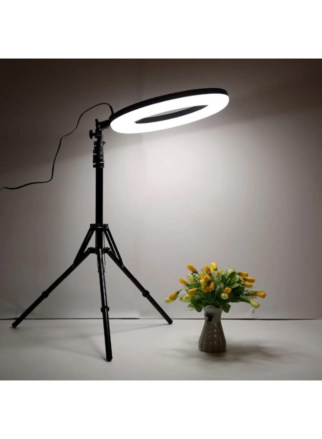 46cm LED Ring Light with 3 Dimmable Color Modes, 3 Stands & Remote Control – Ideal for YouTube, Photos, Videos & Live Streaming - Image 3