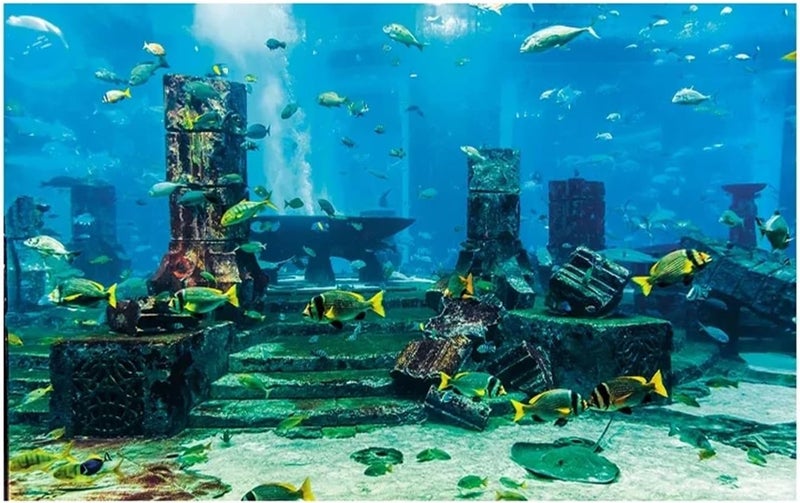 Fish Tank Background Fish Tank Background Sticker,Undersea Landscape Printing Wallpaper Aquarium Backdrop Decorations(Color-01,50x80cm) - Image 1