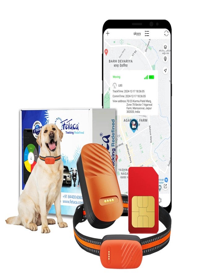 جهاز تتبع الحيوانات الأليفة الذكي FETACA بتقنية 4G مع نظام تحديد المواقع العالمي (GPS) واشتراك مجاني لمدة 12 شهرًا في شريحة بيانات 4G وتطبيق للكلاب والقطط البالغة والحيوانات الأخرى | تتبع فوري مع تحديد الموقع الجغرافي والتنبيهات | تصميم خفيف الوزن - Image 1