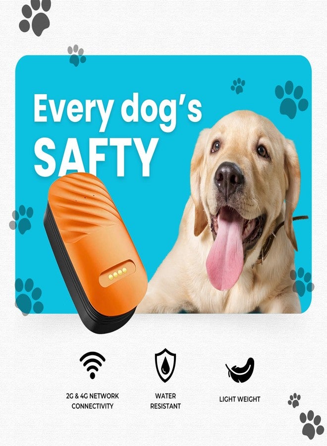 جهاز تتبع الحيوانات الأليفة الذكي FETACA بتقنية 4G مع نظام تحديد المواقع العالمي (GPS) واشتراك مجاني لمدة 12 شهرًا في شريحة بيانات 4G وتطبيق للكلاب والقطط البالغة والحيوانات الأخرى | تتبع فوري مع تحديد الموقع الجغرافي والتنبيهات | تصميم خفيف الوزن - Image 3