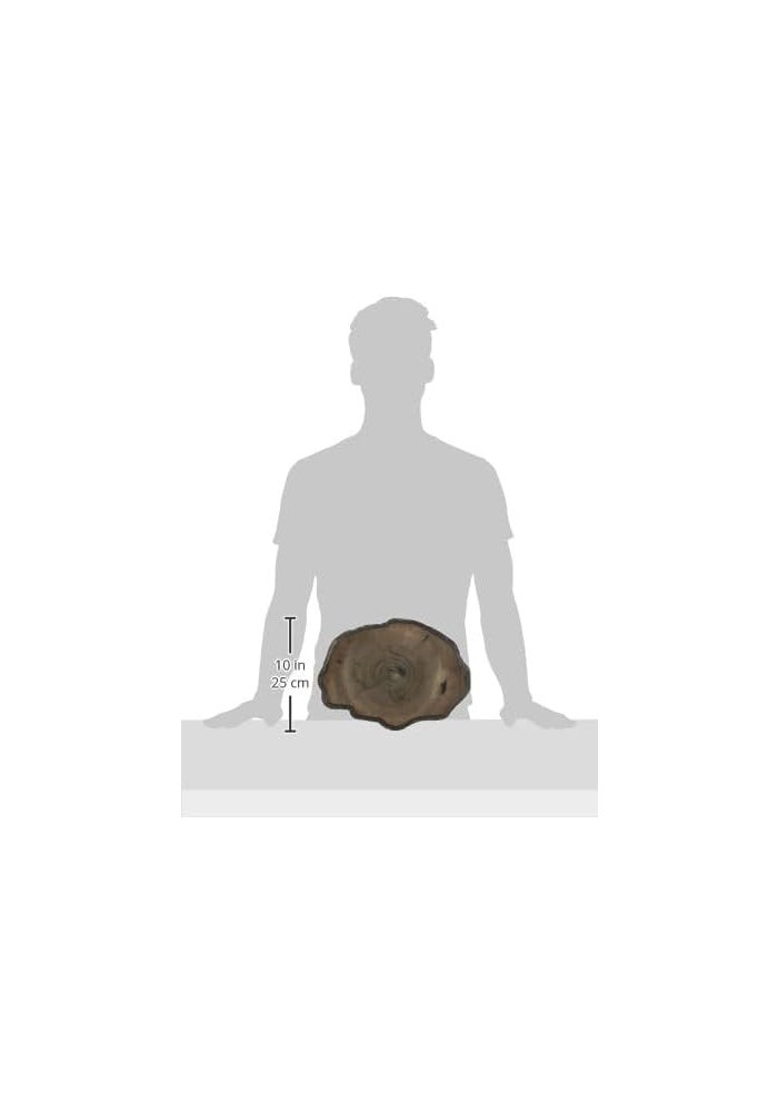 Zoo Med Repti Rock Reptile Food Dish - Extra Large, BPA Free, Indestructible Plastic - Image 3