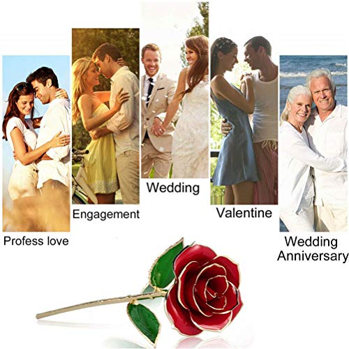 ENJOYPRO Valentines Day Gifts for Her, Real Rose Dipped in 24K Gold, Preserved Rose Flower, Golden Dipped Rose for Valentine's Day, Mothers Day, Wedding - Image 3