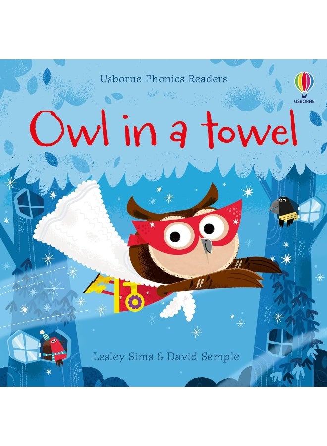 Owl in a Towel - Image 1