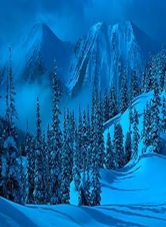 Tomax snowy winter 1000 piece glow-in-the-dark jigsaw puzzle