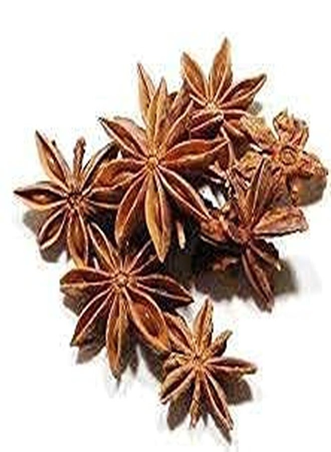 Jimidar Shudh Star Anise Whole 100 gm(3.5oz), Chinese Star Anise, Sun Dried Anise Star Spice, Anis Estrella/Badian Khatai/Illicium Verum, Widely Used for Baking, Cooking, and Tea - Image 3