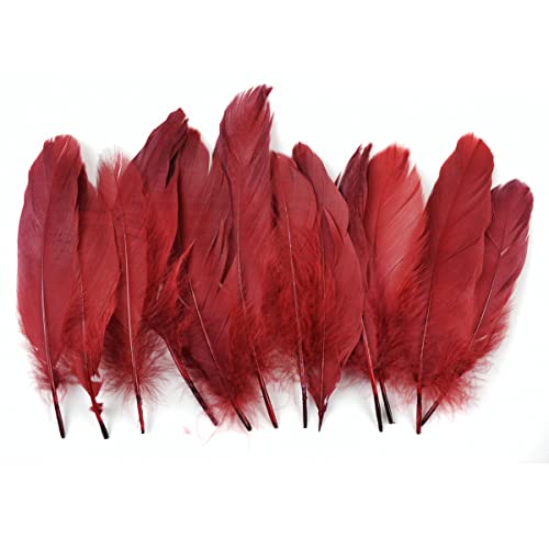 Touch of Nature 12-Piece Goose Wing Rounds for Arts and Crafts, 7 to 8-Inch, Dark Red - Image 1