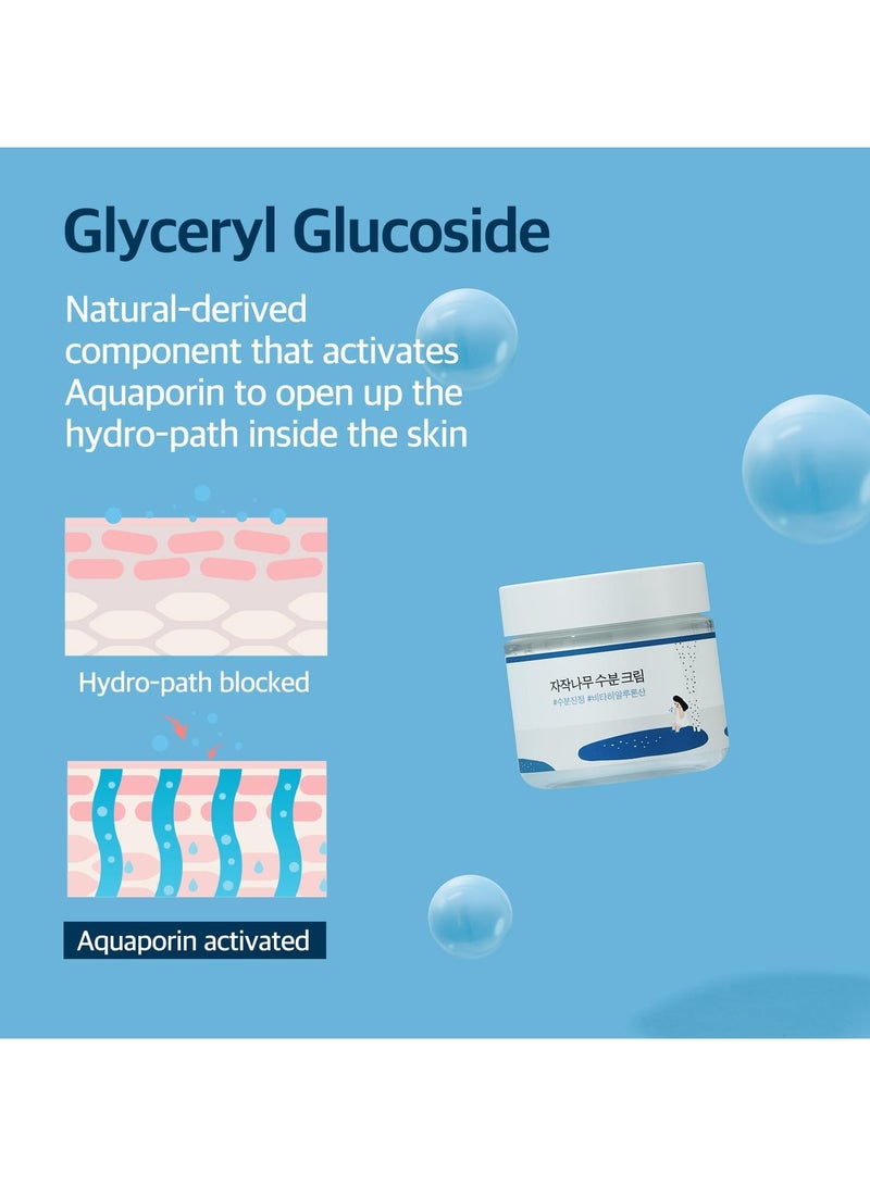 Round Lab Birch Juice Moisturizing Cream 80ml – Deep Hydration for Sensitive Skin - Image 4