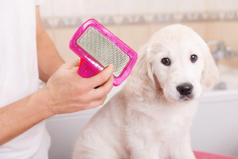 Newvent 3 Pcs pet grooming & cleaning slicker brush self cleaning hair brush for dogs cat | Pet Hair Comb | Soft Needle Plastic Pet Dog & Cat Hair Shedding Brush (Multicolor) - Image 5