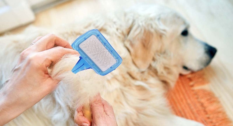 Newvent 3 Pcs pet grooming & cleaning slicker brush self cleaning hair brush for dogs cat | Pet Hair Comb | Soft Needle Plastic Pet Dog & Cat Hair Shedding Brush (Multicolor) - Image 4